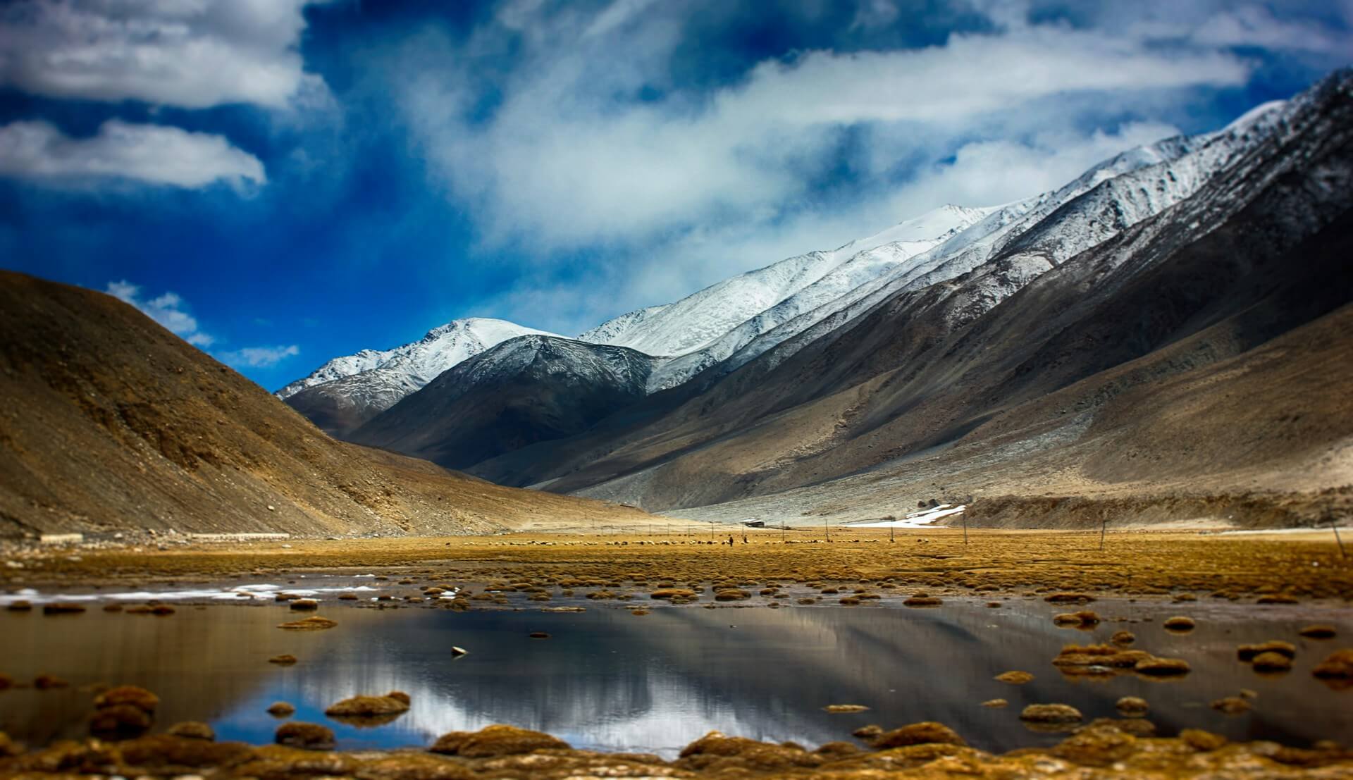 Ladakh landscape high altitude mountains blue sky Leh