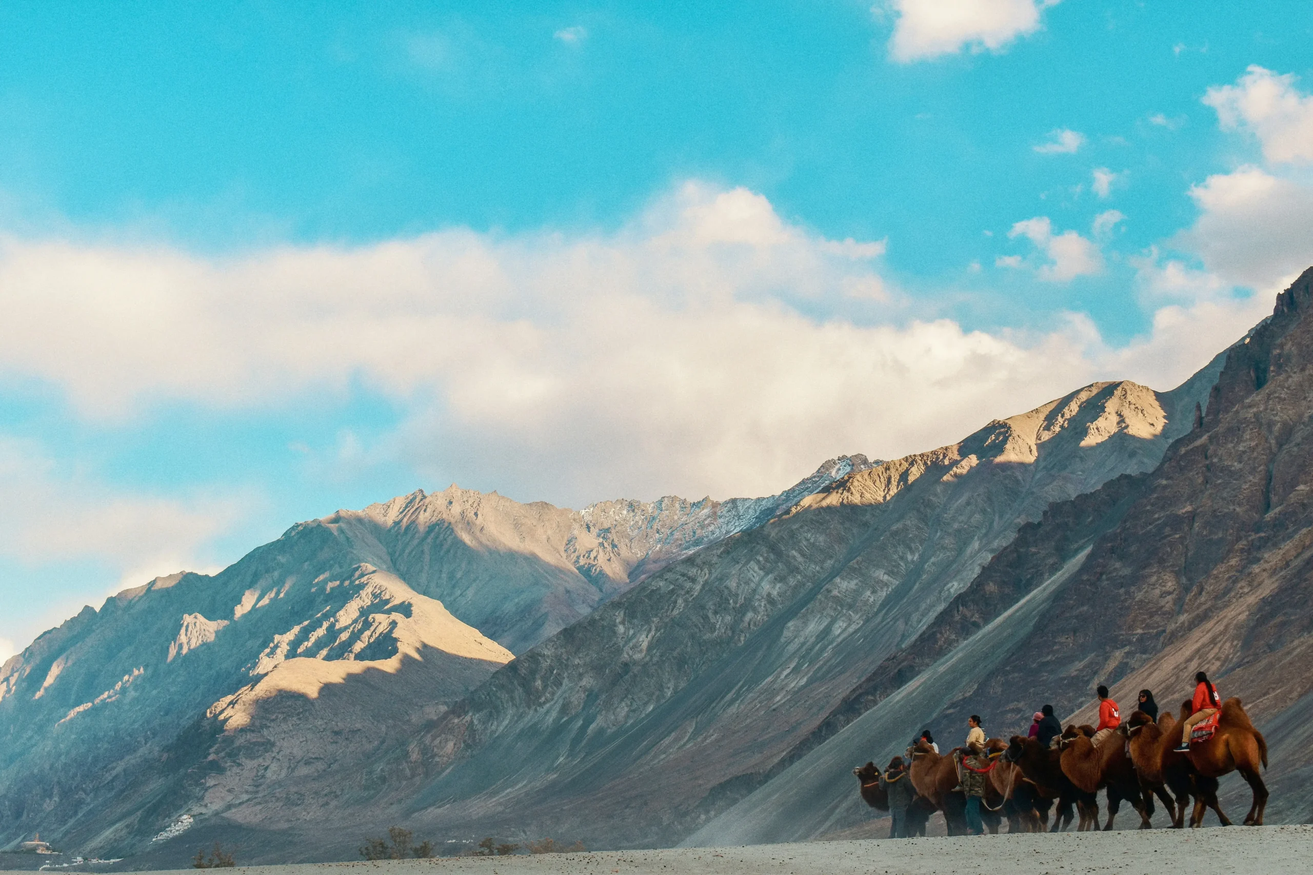 Nubra Valley sand dunes camel Ladakh cold desert mountains