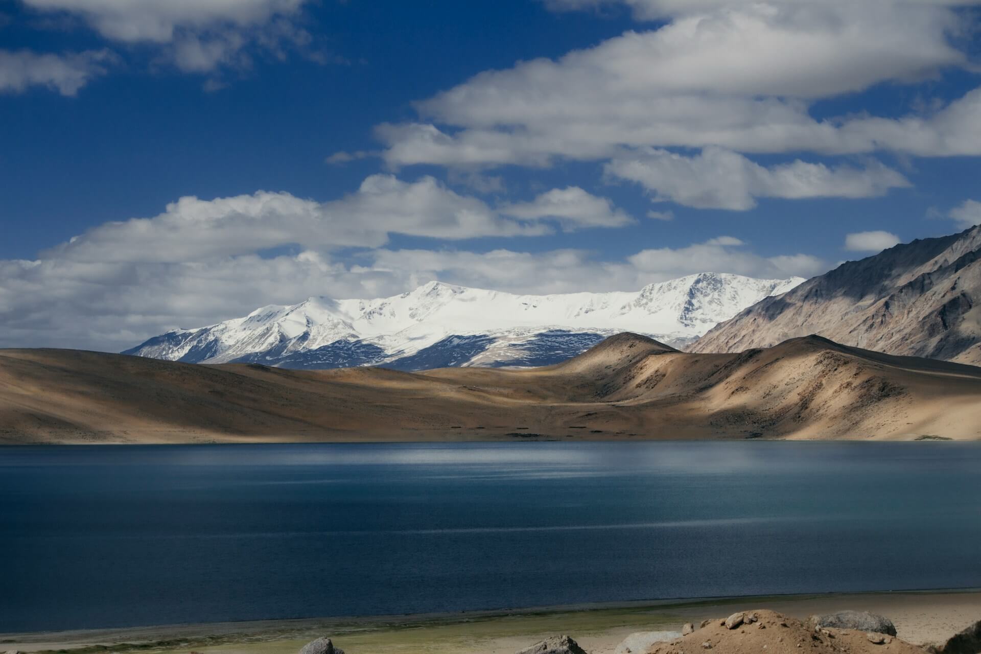 Tso Moriri Lake high altitude wildlife flamingo mountains Ladakh