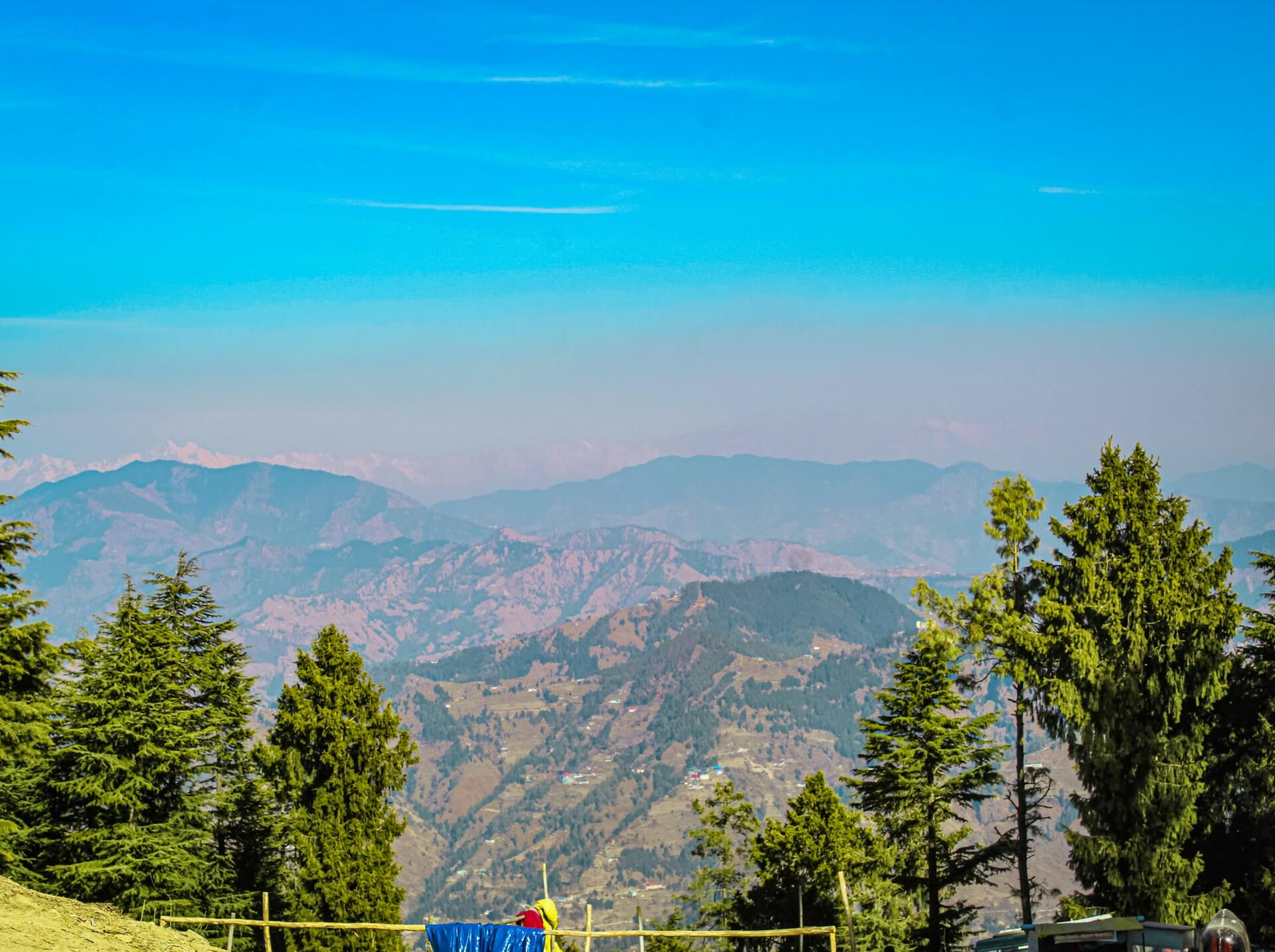 Green Valley viewpoint Shimla Kufri road pine deodar forest mountain