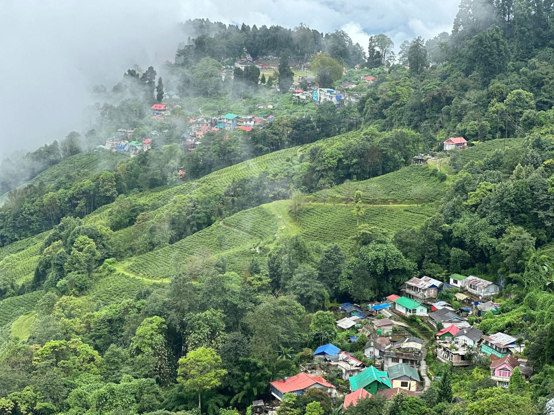 Happy Valley Tea Estate Darjeeling tea garden factory first flush plucking workers