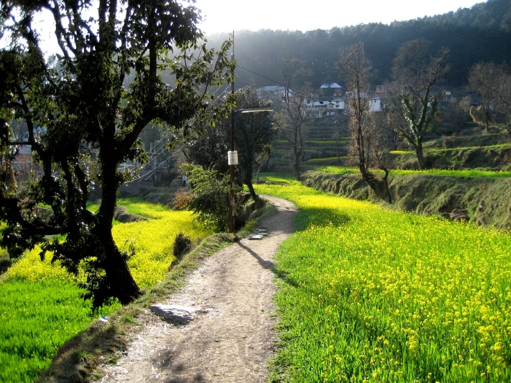 Dharamkot village Dharamshala forest trail yoga meditation center expats
