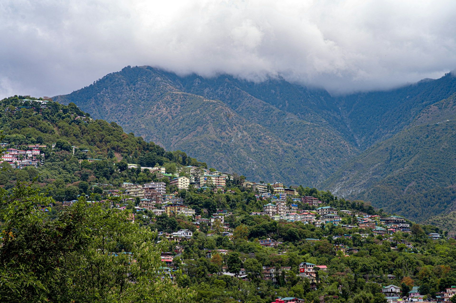 Dharamshala McLeod Ganj travel guide Tibet Triund trek Himachal Pradesh