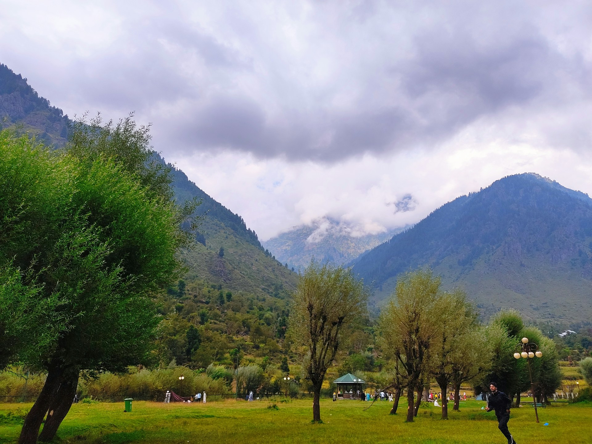 Green meadow of Betaab Valley near Pahalgam ringed by pine forest and snow peaks