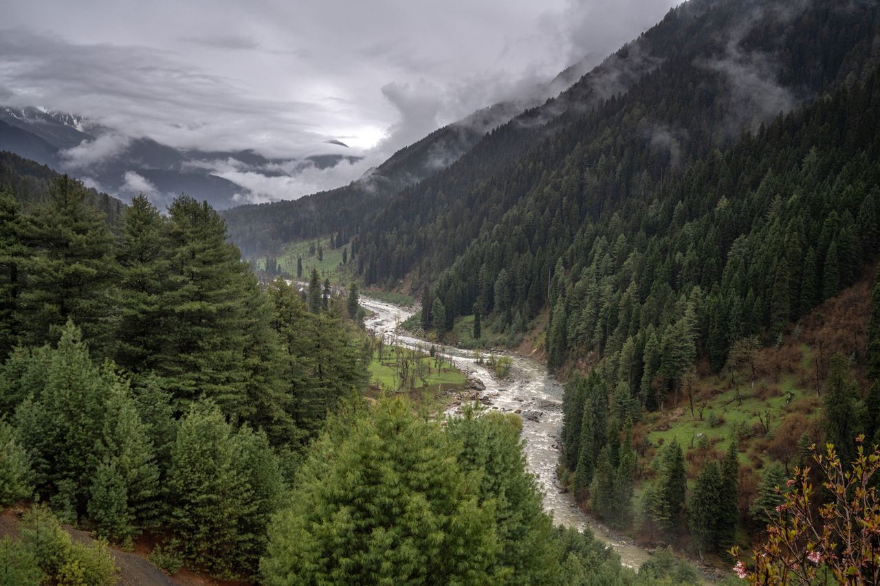 The Lidder River flowing through pine forest at Pahalgam with mountains behind