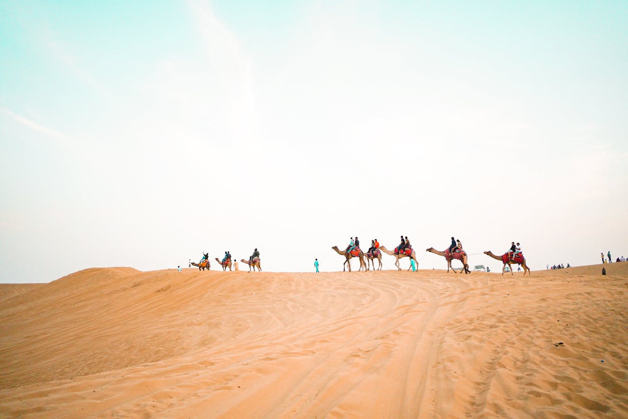 Sam Sand Dunes Jaisalmer Thar Desert camel silhouette sunset golden hour