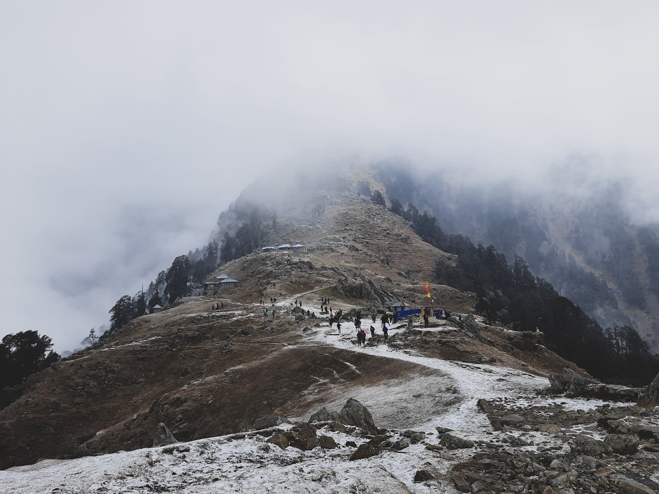 Triund Trek Dharamshala meadow ridge Dhauladhar mountains panorama camping